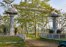 Kaziranga National Park in Kaziranga