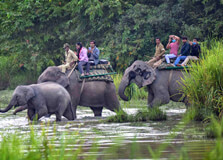 Kaziranga National Park in Golaghat