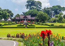 Kebun Raya in Bogor