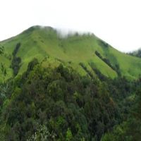 Kemmanagundi Hills