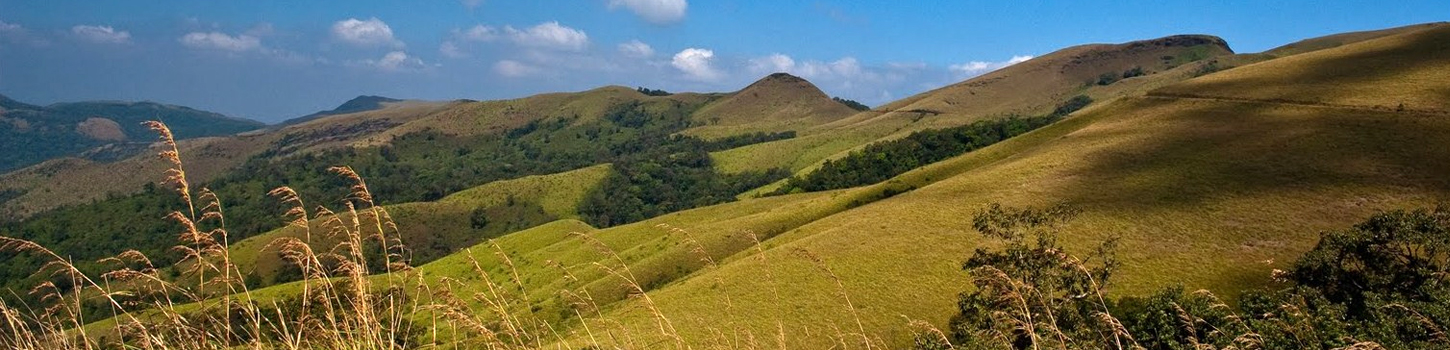 Kemmanagundi Hills