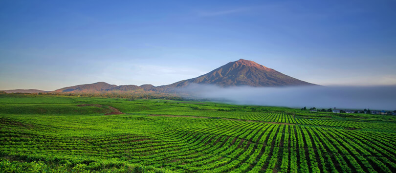 Kerinci Seblat National Park