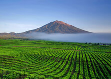 Kerinci Seblat National Park in Sumatra