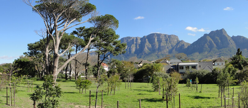 Keurboom Park