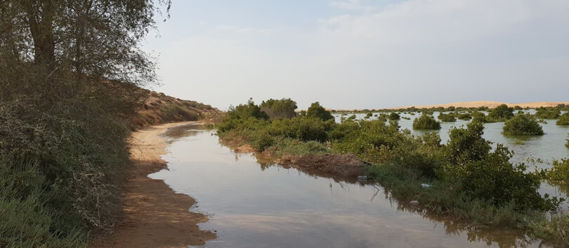 Khor Al Beidah