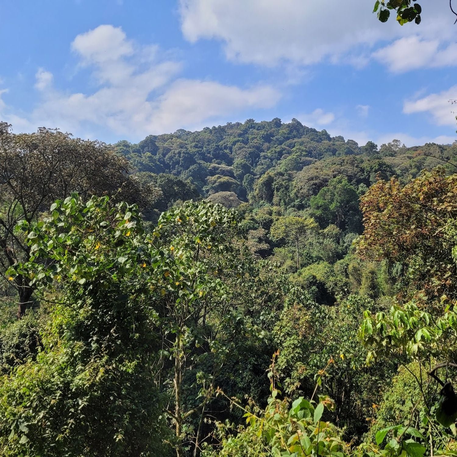 Muramvya