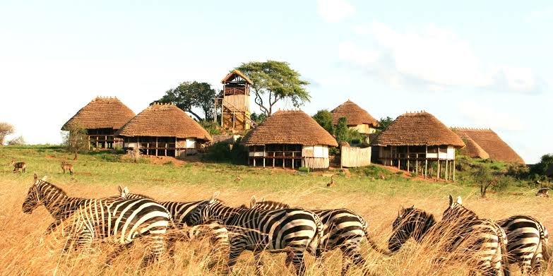 Kidepo Valley National Park in Karamoja