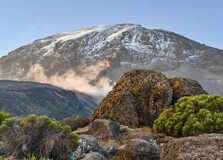 Kilimanjaro National Park in Moshi
