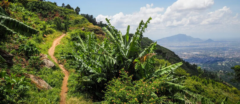 Kilombero Valley