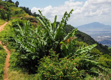 Kilombero Valley in Morogoro