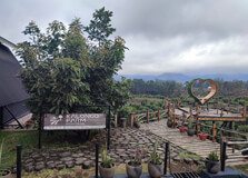 Kimboza Forest Reserve