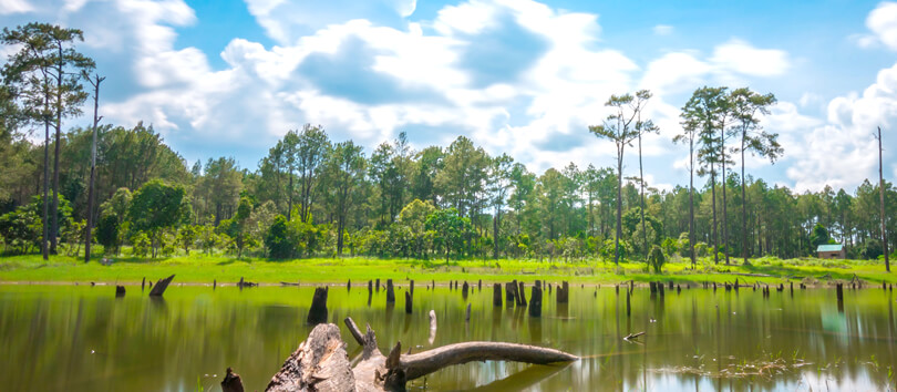 Kirirom National Park