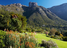 Kirstenbosch National Botanical Garden in Landsdown