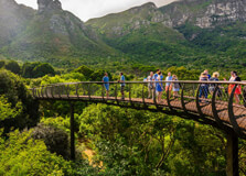Kirstenbosch Botanical Gardens in Cape Town