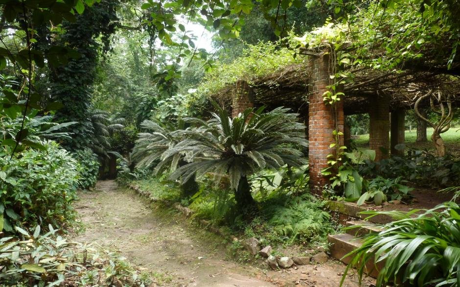 Kisantu Botanical Gardens in Kisantu