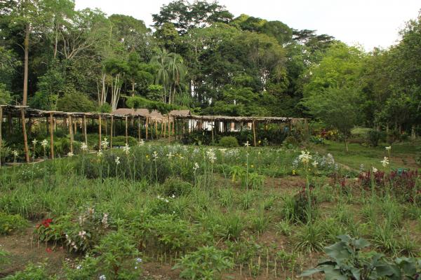Kisantu Botanical Gardens in Kisantu