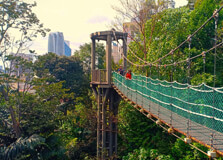 KL Forest Eco Park in Kuala Lumpur