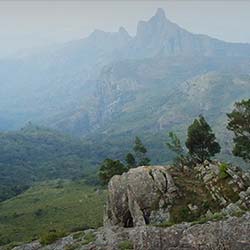 Kodanad Hill in Ooty