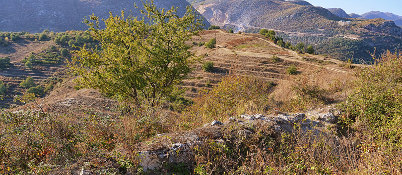 Kongresi i Pogradecit