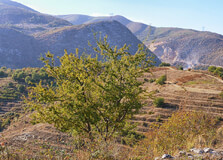 Kongresi i Pogradecit in Pogradec