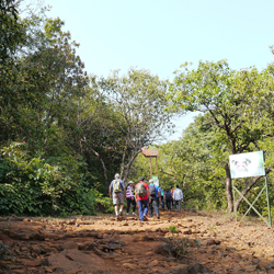 Koyna Wildlife Sanctuary in Satara