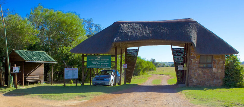 Kragga Kamma Game Park