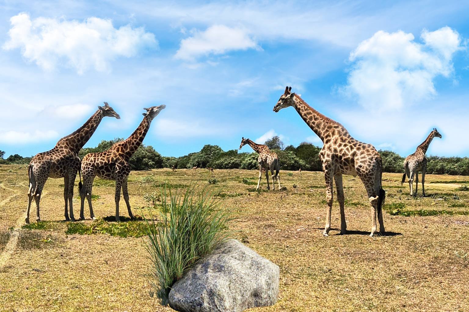 Kragga Kamma Game Park