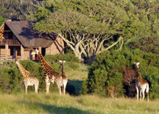 Kragga Kamma Game Park in Port Elizabeth