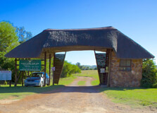 Kragga Kamma Game Park in Gqeberha