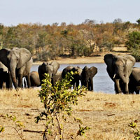 Kruger National Park in Limpopo
