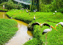 Kuala Lumpur Bird Park in Kuala Lumpur