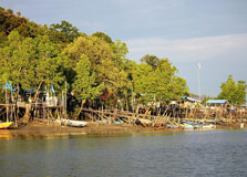 Kuching Wetlands National Park in Kuching