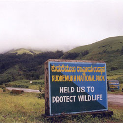 Kudremukh National Park in Chikmagalur