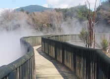 Kuirau Park in Rotorua