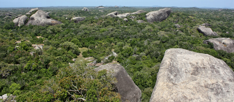Kumana National Park