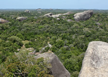 Kumana National Park in Batticaloa