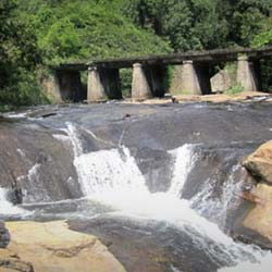 Kemmannugundi (50 Kms) in Chikmagalur