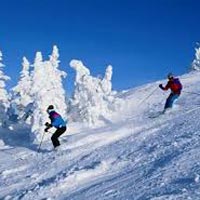 Kufri Tour,Kufri Shimla Tour,Skiing in Kufri