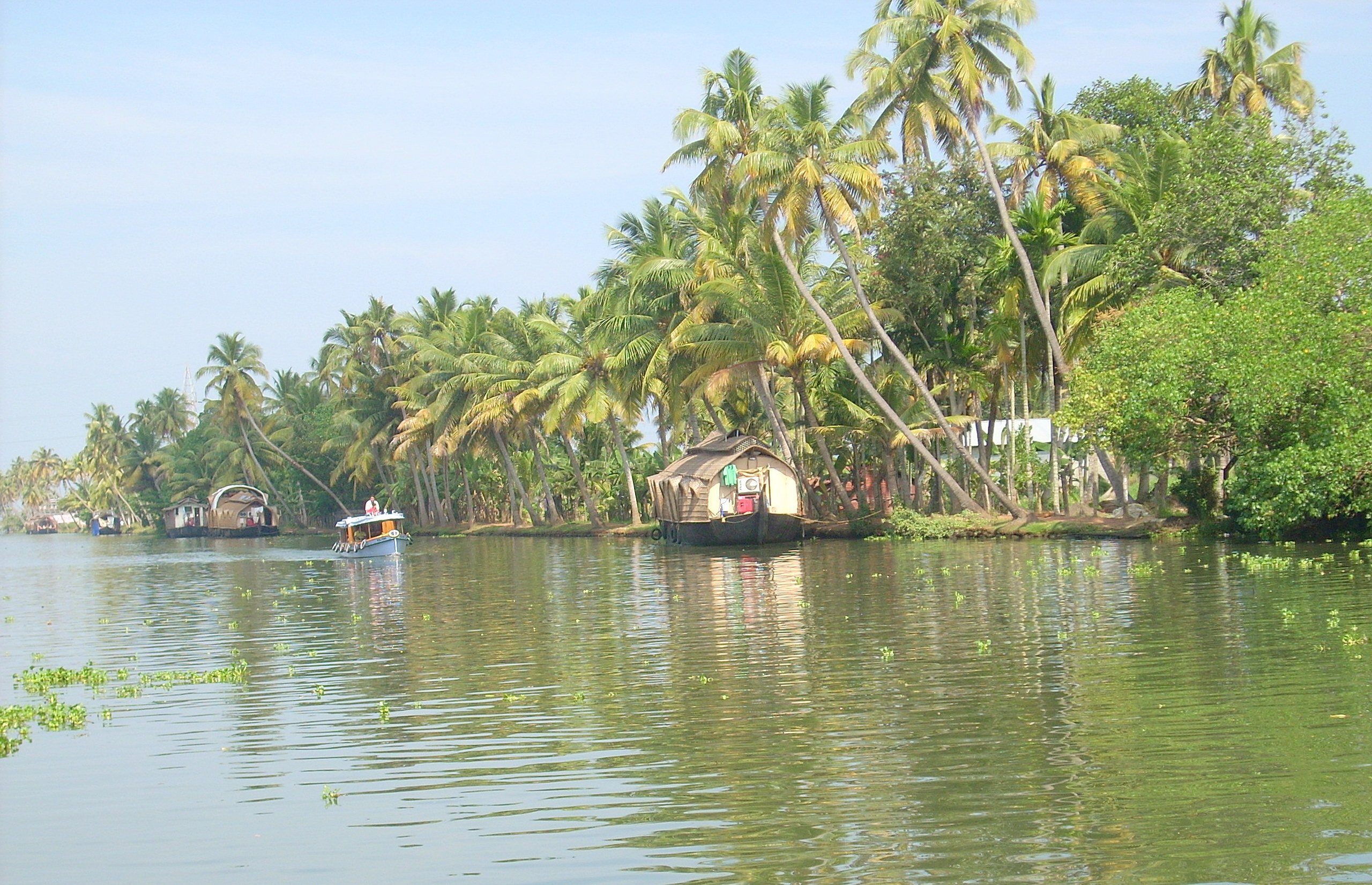 Kuttanad Backwaters in Kerala