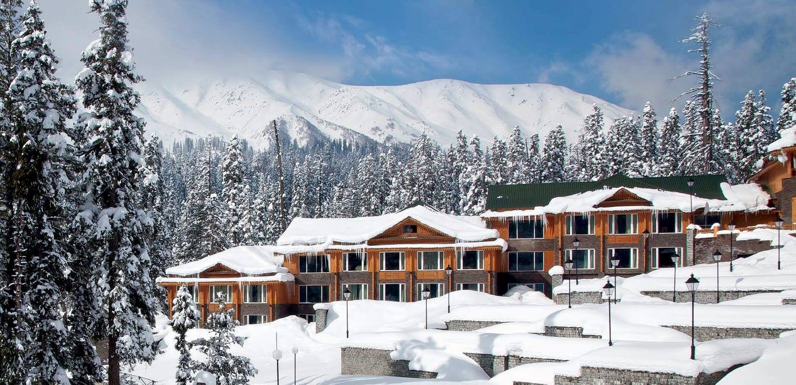 Kwani Bugyal in Auli