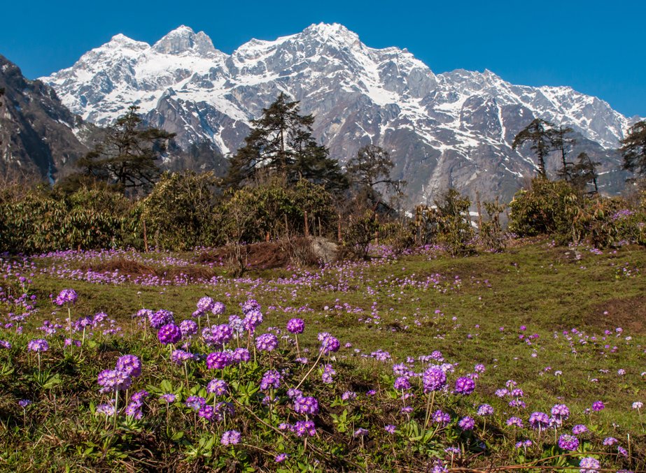 Lachung Valley in Lachen