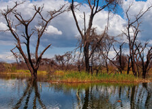 Lake Baringo in Nairobi