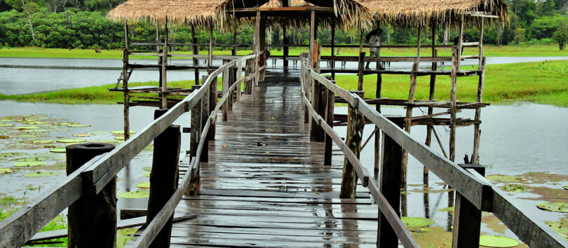 Lake Janauari Ecological Park