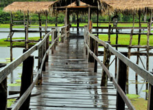 Lake Janauari Ecological Park in Amazonas