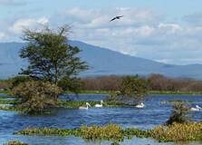 Lake Naivasha in Nairobi