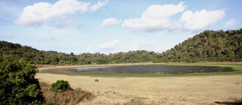 Lake Paradise