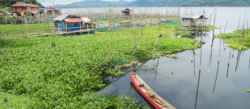 Lake Poso