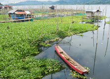 Lake Poso in Sulawesi