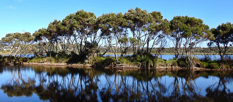 Lake Seppings