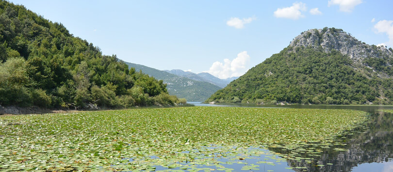 Lake Shkodra